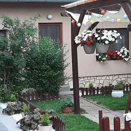 Apartment Bobita Haza Epleny