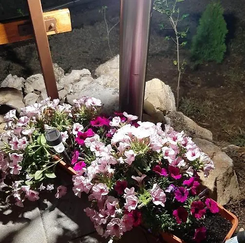 Apartament Bobita Haza *