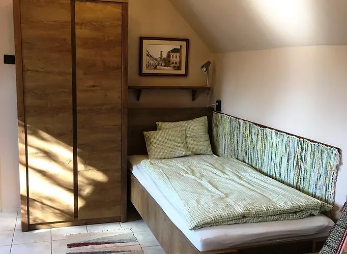 Bobita Haza Apartament *